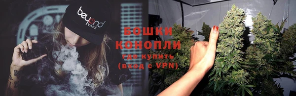 сатива Бронницы