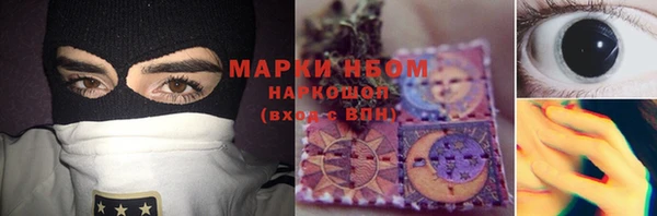 эйфоретик Бородино