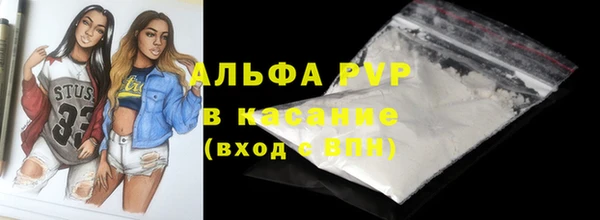 сатива Бронницы