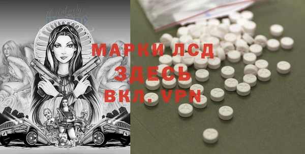 эйфоретик Бородино